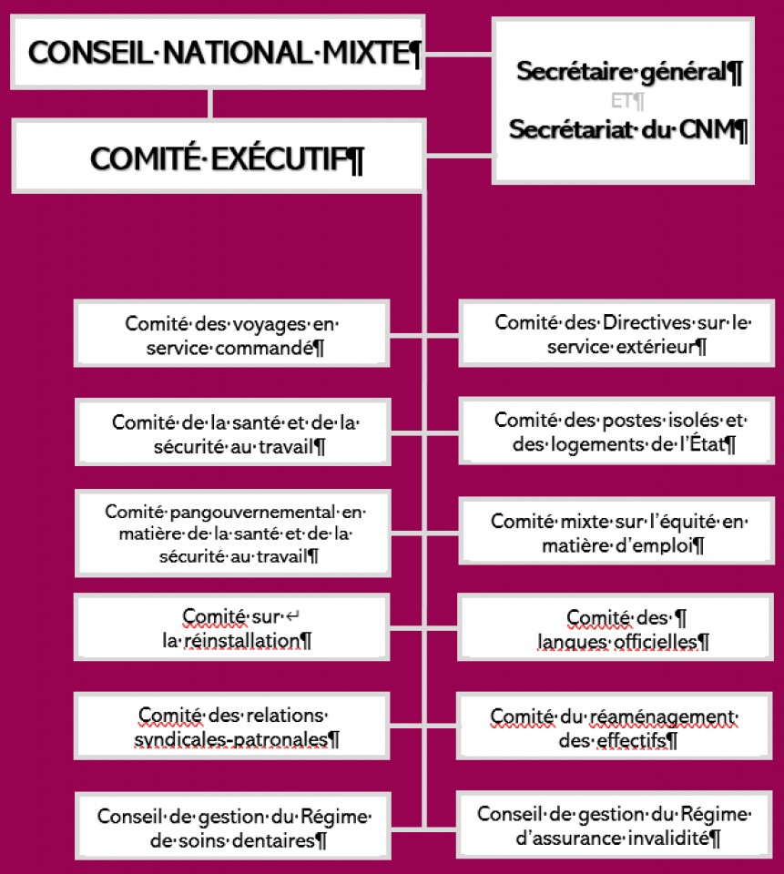Structure organisationnelle du CNM