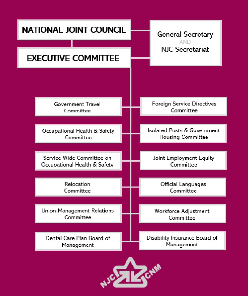 NJC OrgChart without title.png